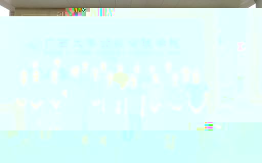 合照